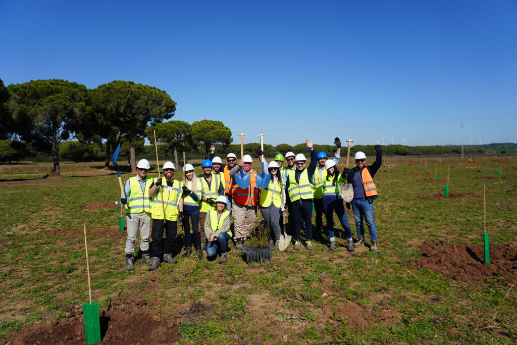 Elmya celebra el Día de la Tierra con una iniciativa de reforestación junto a sus empleados en dos proyectos fotovoltaicos 9 - Elmya